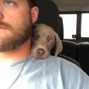 Meet your Posher, Justyn